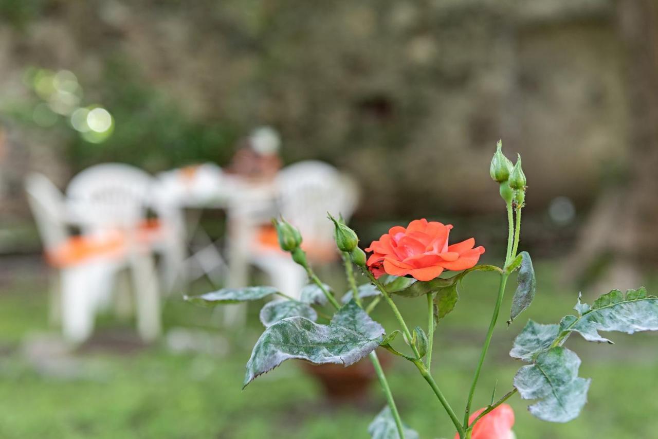 B&B Villa Rosalinda Dongo Kültér fotó